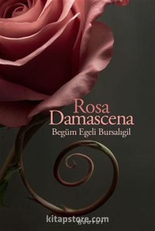Rosa Damascena