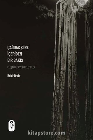 Çağdaş Şiire İçeriden Bir Bakış