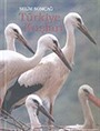 Türkiye Kuşları/Özel Kutulu Bez Cilt
