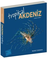 Tropikal Akdeniz
