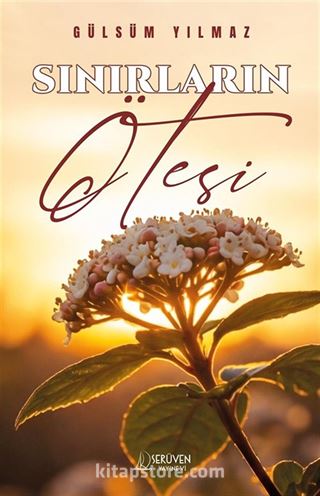 Sınırların Ötesi