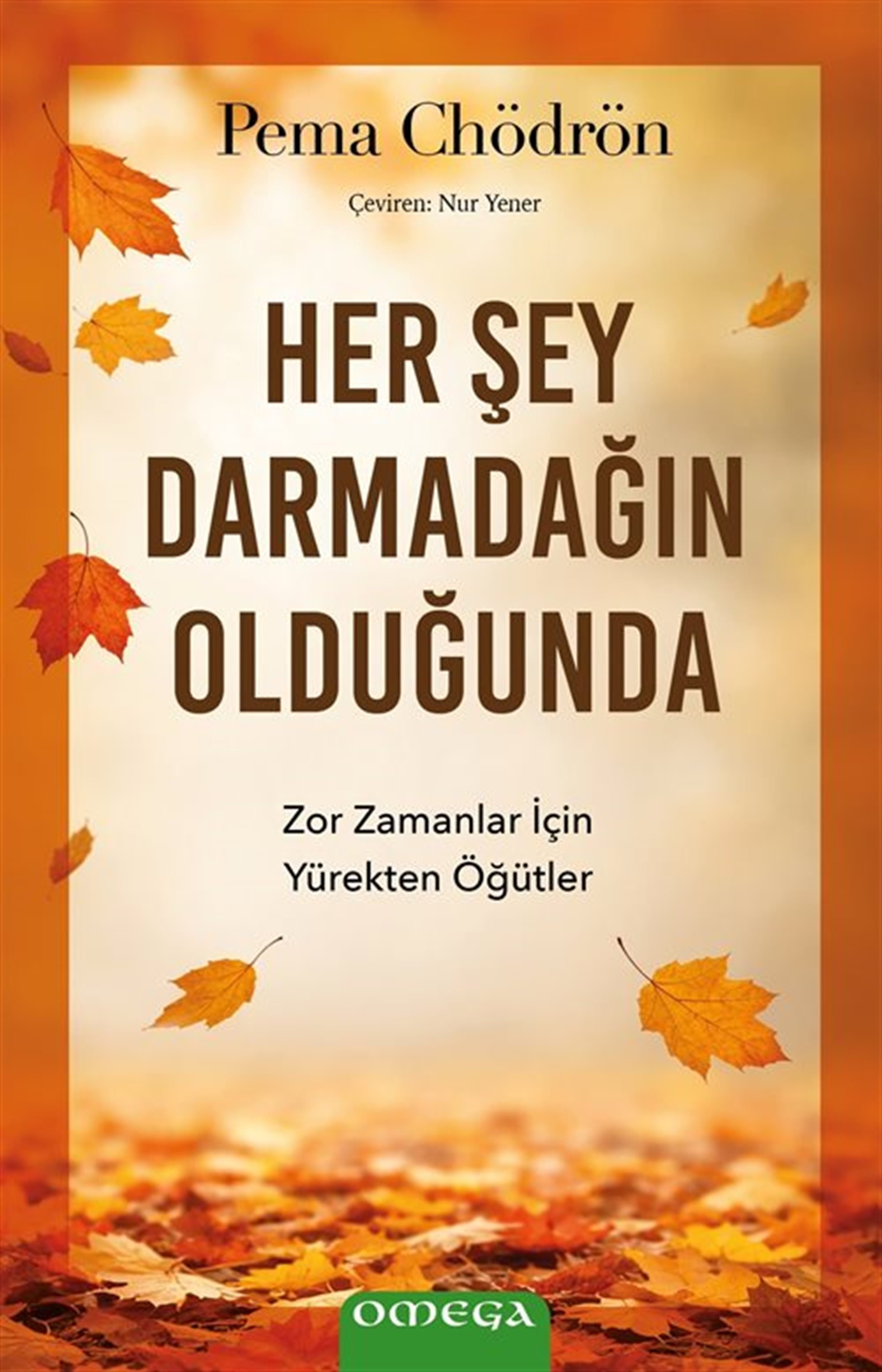 Her Şey Darmadağın Olduğunda