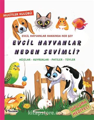 Evcil Hayvanlar Neden Sevimli? / Mucitler Kulübü