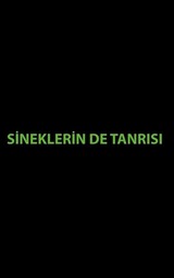 Sineklerin De Tanrısı