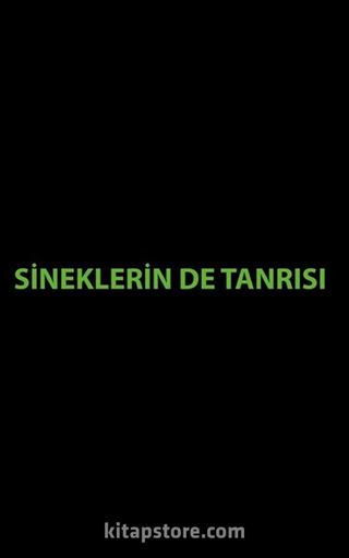 Sineklerin De Tanrısı