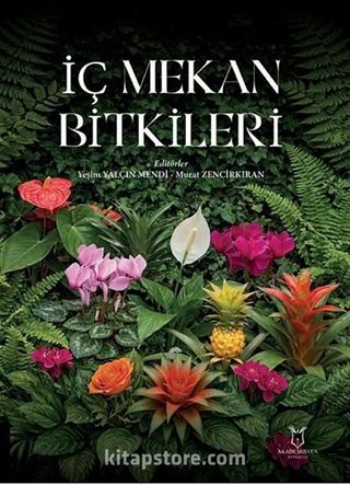 İç Mekan Bitkileri