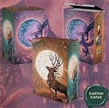 Düşmüş Tanrılar Serisi - 3 Kitaplık Kutulu Set (Karton Kapak)