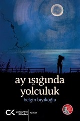 Ay Işığında Yolculuk