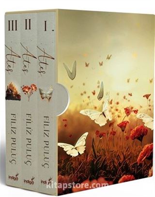 Ateş Serisi 3 Kitap (Kutulu)