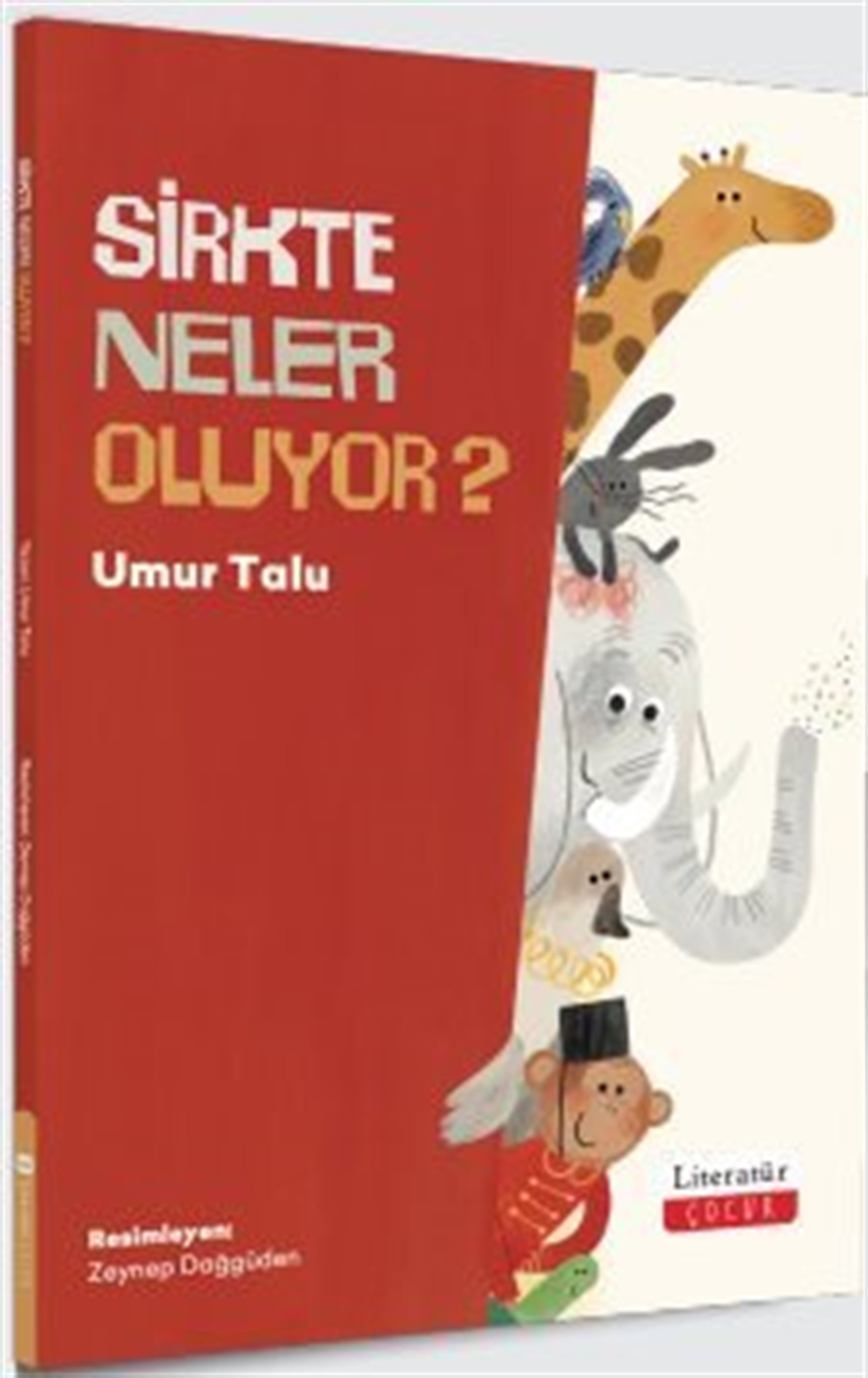 Sirkte Neler Oluyor?