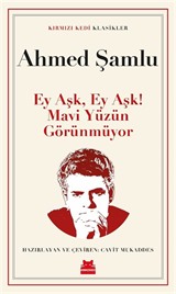 Ey Aşk, Ey Aşk! Mavi Yüzün Görünmüyor