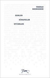 Genler, Sinapslar, Otizmler