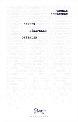 Genler, Sinapslar, Otizmler