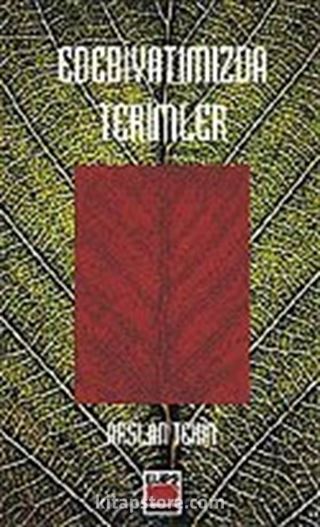 Edebiyatımızda Terimler
