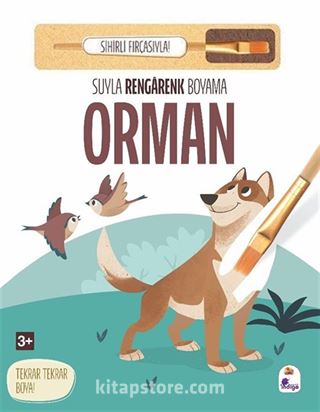 Suyla Rengarenk Boyama / Orman (Sihirli Fırçasıyla)