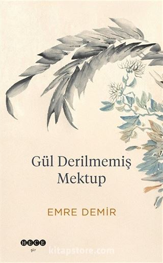 Gül Derilmemiş Mektup