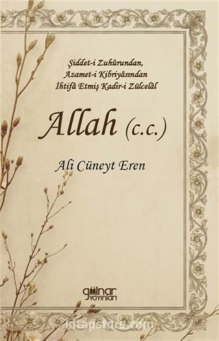 Allah (c.c.)