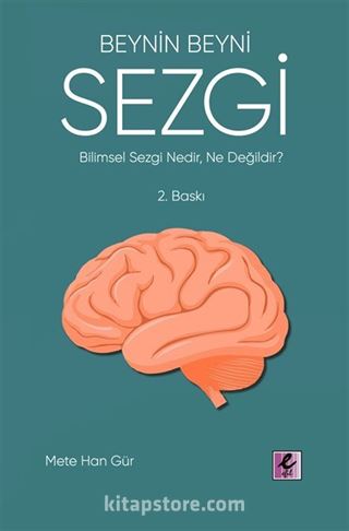 Beynin Beyni Sezgi