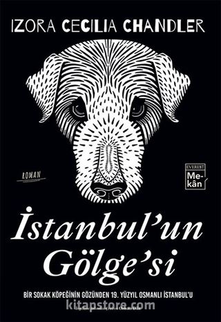 İstanbul'un Gölge'si