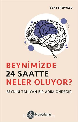 Beynimizde 24 Saatte Neler Oluyor ?