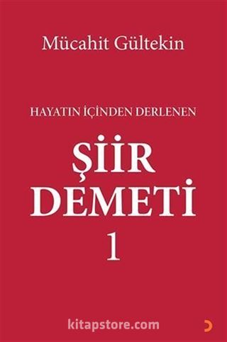 Hayatın İçinden Derlenen Şiir Demeti 1