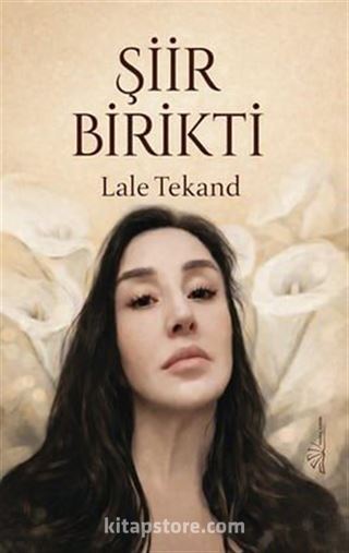 Şiir Birikti