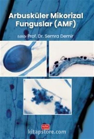 Arbusküler Mikorizal Funguslar (AMF)