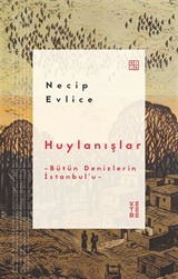 Huylanışlar