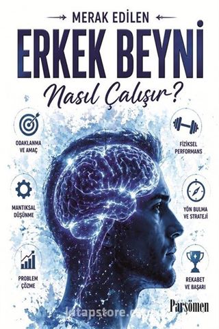Erkek Beyni Nasıl Çalışır?