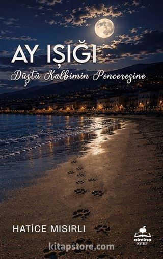 Ay Işığı