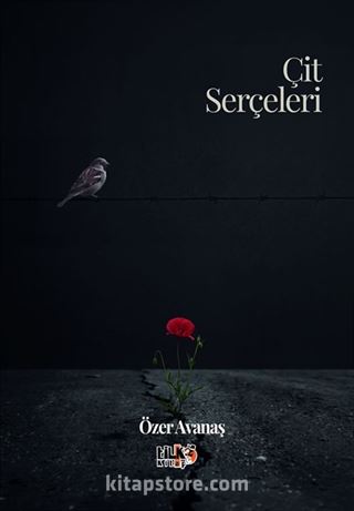 Çit Serçeleri