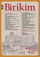 Birikim Dergisi Sayı:446-447 Haziran-Temmuz 2026