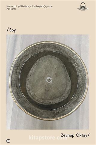 Soy