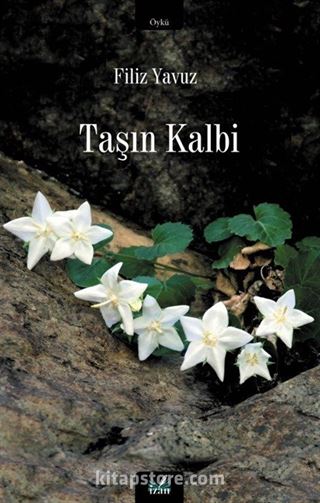Taşın Kalbi