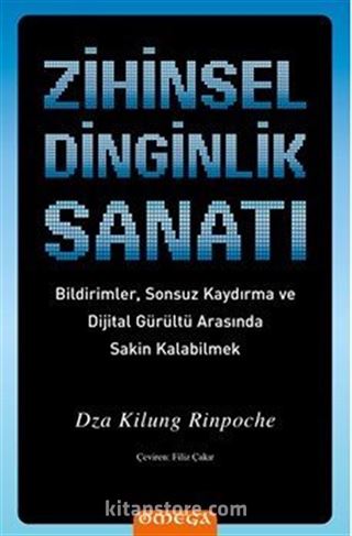 Zihinsel Dinginlik Sanatı
