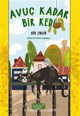Avuç Kadar Bir Kedi