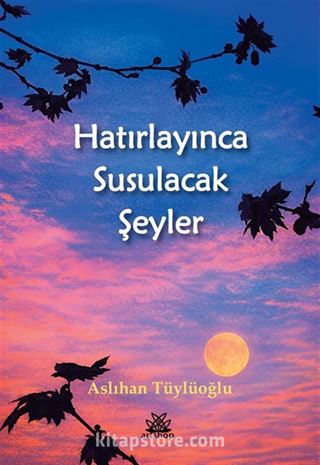 Hatırlayınca Susulacak Şeyler