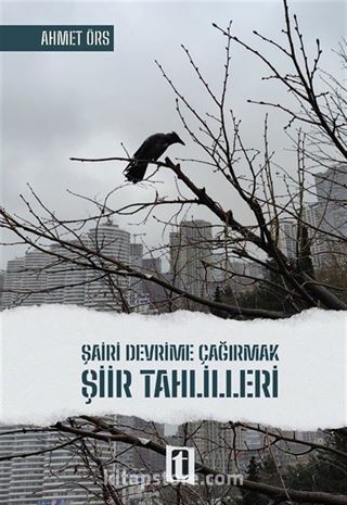 Şairi Devrime Çağırmak