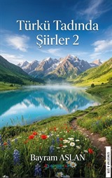 Türkü Tadında Şiirler 2