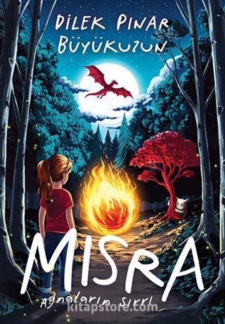 Mısra Aynaların Sırrı