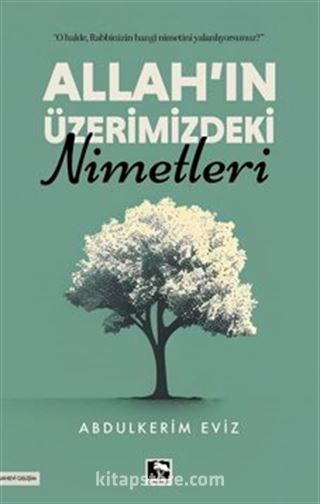 Allah'ın Üzerimizdeki Nimetleri