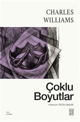 Çoklu Boyutlar