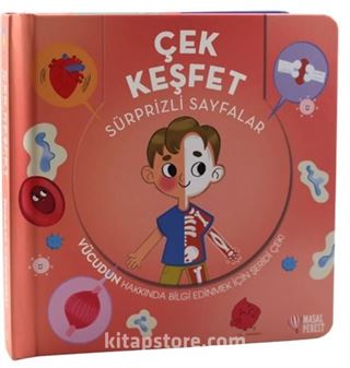 Çek Keşfet İnsan Vücudu
