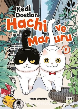 Kedi Dostlar Hachi ve Maruru 1