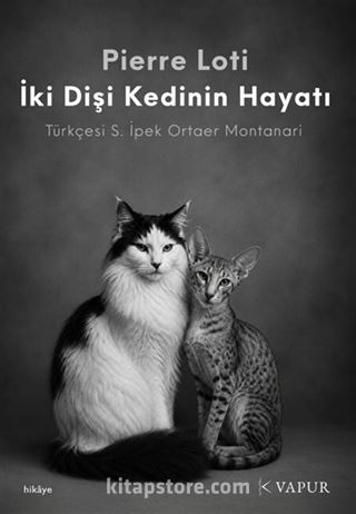 İki Dişi Kedinin Hayatı