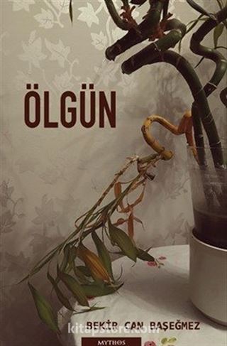 Ölgün