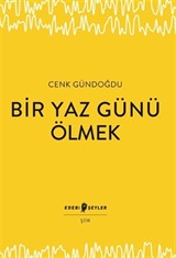 Bir Yaz Günü Ölmek