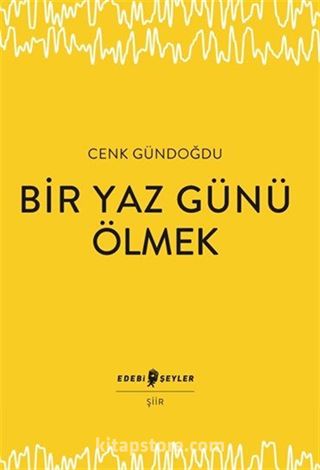 Bir Yaz Günü Ölmek