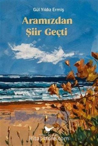 Aramızdan Şiir Geçti