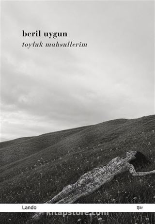 Toyluk Mahsullerim